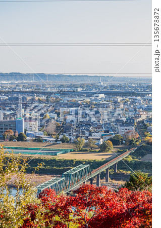浜松市の紅葉と街並み(静岡県) 135678872