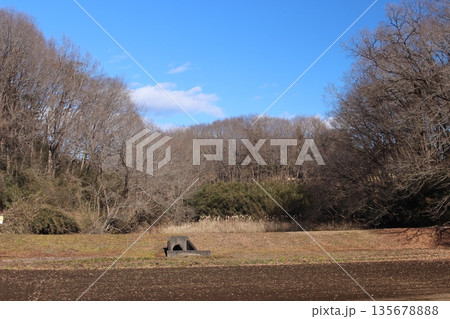 トトロの溜池 トトロの溜池 135678888