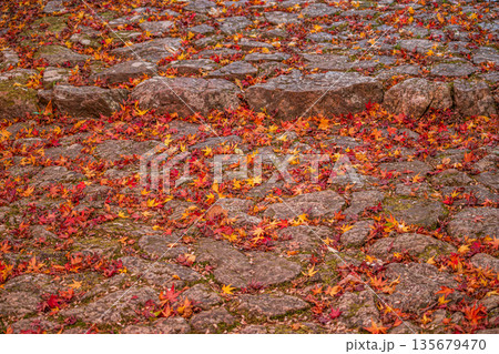 紅葉の風景(静岡県) 紅葉の風景(静岡県) 135679470