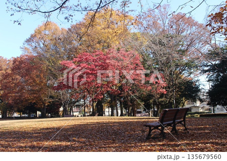 明保野公園 135679560