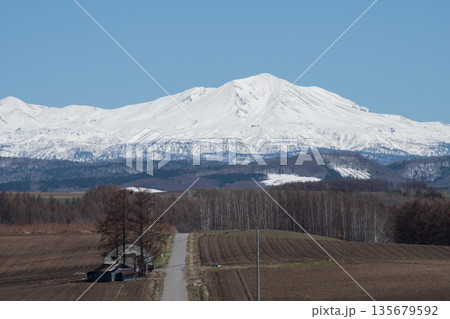 春の晴れた日の畑作地帯と雪山　大雪山 135679592