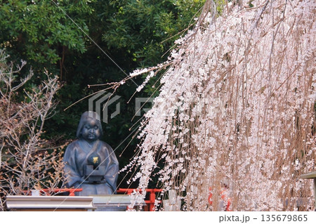 京都西陣 名桜阿亀桜の千本釈迦堂こと大報恩寺 京都西陣 名桜阿亀桜の千本釈迦堂こと大報恩寺 135679865