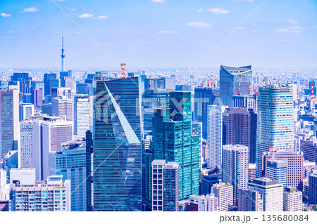 (東京都)東京都市風景 (東京都)東京都市風景 135680084