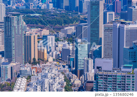 （東京都）東京都市風景 135680246