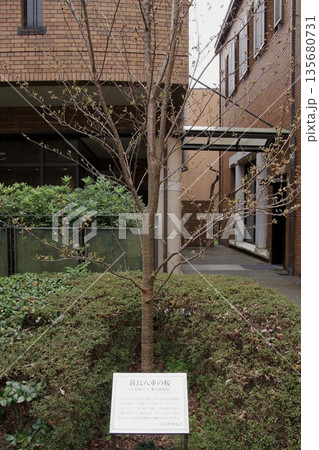 同志社大学の創始者新島襄の新島旧邸 同志社大学の創始者新島襄の新島旧邸 135680731