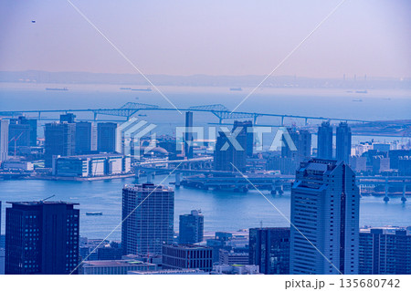 （東京都）東京都市風景　ベイエリア 135680742