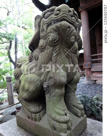 神社に置かれた狛犬 神社に置かれた狛犬 135680787