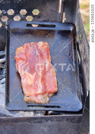 滋賀県琵琶湖畔　水仙の咲く湖岸緑地でのキャンプ 135681020