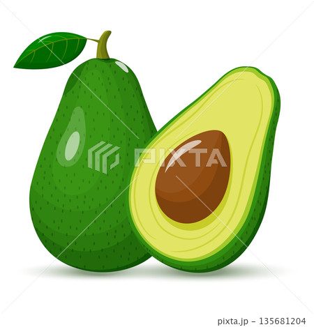 Avocado whole and half. Green avocado with seed. Fruit isolated on a white background. Flat design. vector illustration Avocado whole and half. Green avocado with seed. Fruit isolated on a white background. Flat design. vector illustration 135681204