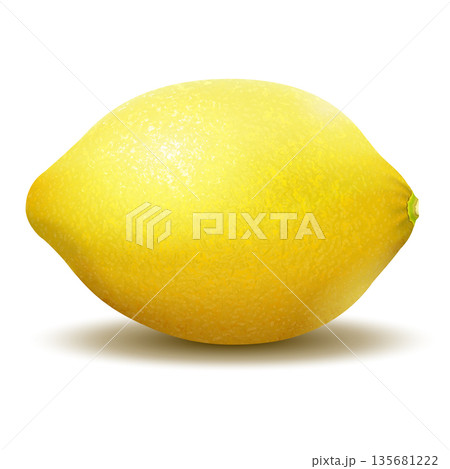 Lemon. Realistic vector illustration of a lemon on white background 135681222
