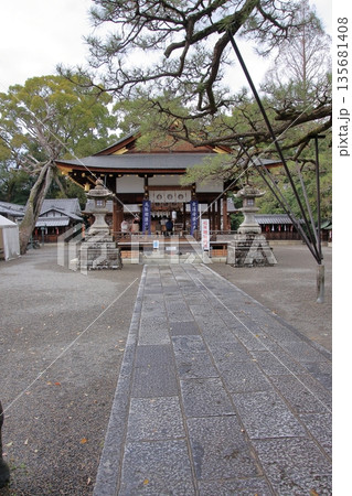 滋賀県草津市の桜の名所 立木神社 滋賀県草津市の桜の名所 立木神社 135681408