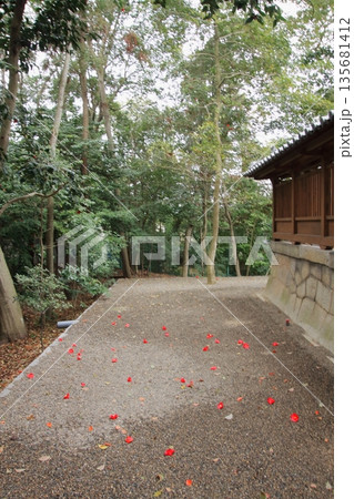 滋賀県草津市の桜の名所 立木神社 滋賀県草津市の桜の名所 立木神社 135681412