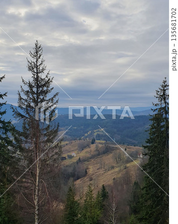 Atmospheric mountain landscape of the Carpathians with tall fir trees in the foreground. The cloudy sky Atmospheric mountain landscape of the Carpathians with tall fir trees in the foreground. The cloudy sky 135681702
