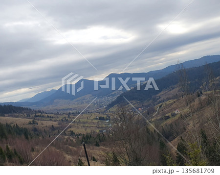 Mountain landscape of the Carpathians with tall fir trees in the foreground. Greek ridges and a calm valley opening below Mountain landscape of the Carpathians with tall fir trees in the foreground. Greek ridges and a calm valley opening below 135681709