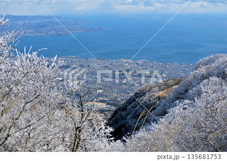 鶴見岳山頂から望む霧氷と別府湾 135681753