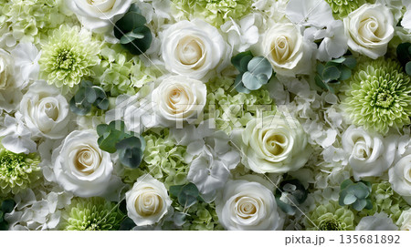 バラとマムの爽やかで清潔感のあるフラワー背景｜ライムグリーン×ホワイト 135681892
