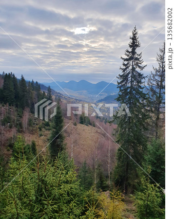 A peaceful mountain slope in the Carpathians with a mosaic of coniferous and deciduous trees A peaceful mountain slope in the Carpathians with a mosaic of coniferous and deciduous trees 135682002
