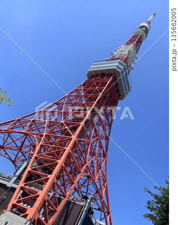 見上げる視点で捉えた東京タワーと青空 135682005
