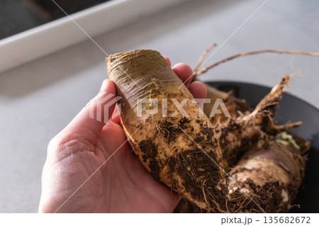 Rutabaga, root cabbage or swede is a hardy vegetable rich in vitamin C 135682672