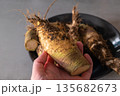 Rutabaga, root cabbage or swede is a hardy vegetable rich in vitamin C 135682673