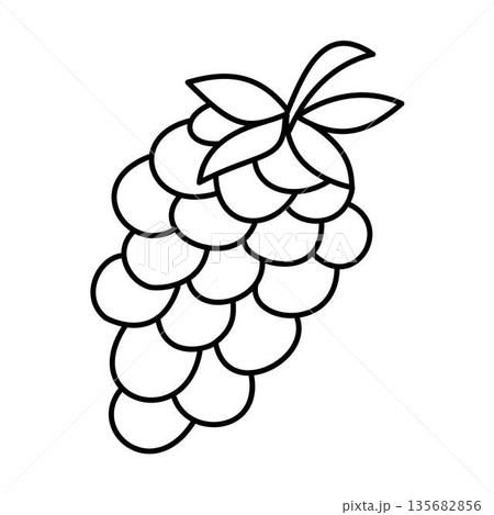 Simple Outline Grape Coloring Page Simple Outline Grape Coloring Page 135682856