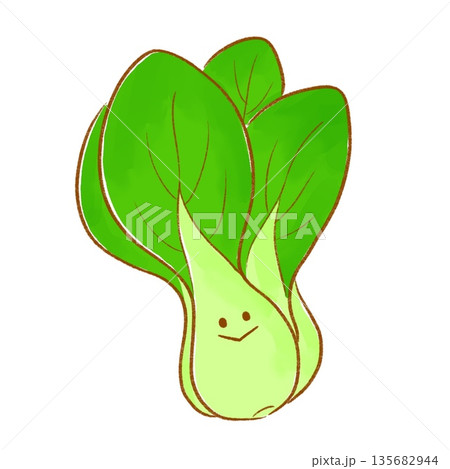 にっこりみどり野菜|チンゲン菜 にっこりみどり野菜|チンゲン菜 135682944