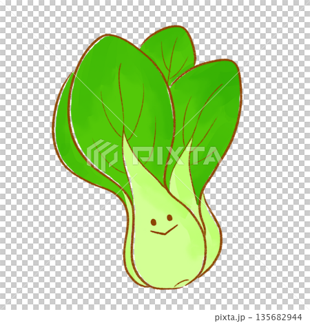 にっこりみどり野菜|チンゲン菜 にっこりみどり野菜|チンゲン菜 135682944