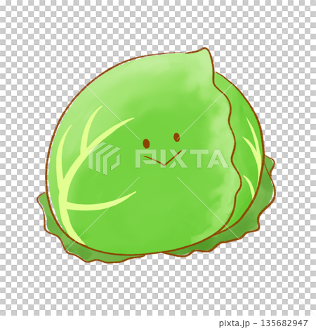 微笑綠色蔬菜 | 高麗菜 135682947