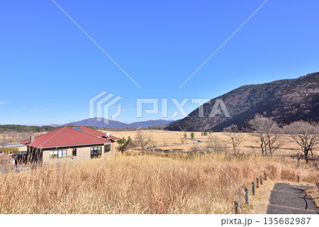 長者原ビジターセンター　くじゅう長者原　タデ原湿原冬景色　 135682987