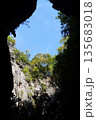 Blue sky and green plants visible from the cave.View of the sky from the cave. 135683018