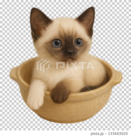 一隻暹羅小貓在碗裡的插圖——一隻可愛友善的貓咪 135683020