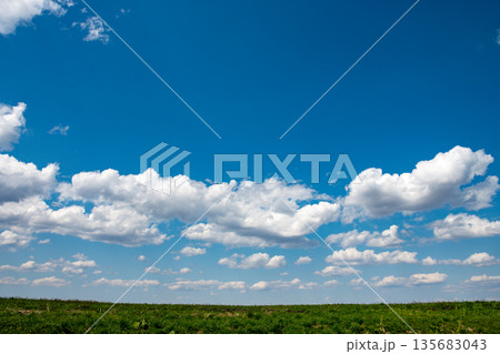 春の牧草畑と青空 135683043