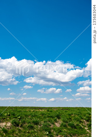 春の牧草畑と青空 135683044