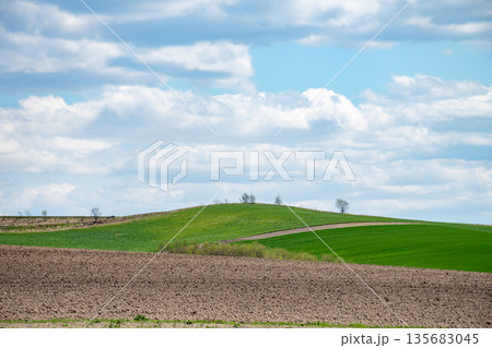 春の丘陵畑作地帯と青空 135683045
