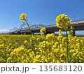 春の河川敷に広がる菜の花畑 黄色い風景 135683120