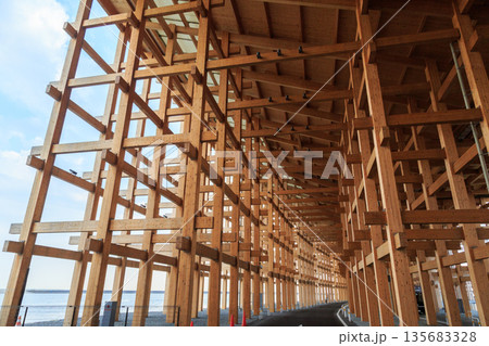 大阪万博 EXPO 2025 大阪万博 EXPO 2025 135683328