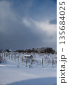 雪景色　リンゴ畑 135684025