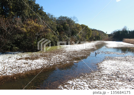 雪が積もった「欠真間三角」（千葉県市川市） 135684175