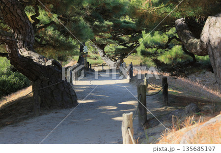 栗林公園、北湖と講武榭の間の小道 135685197