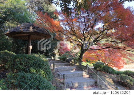 栗林公園北庭の枕流亭の紅葉 栗林公園北庭の枕流亭の紅葉 135685204