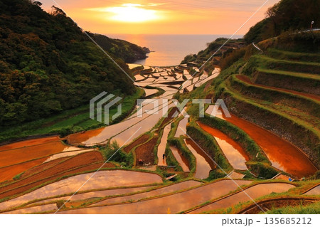 【石川県】浜野浦の棚田の夕景 135685212