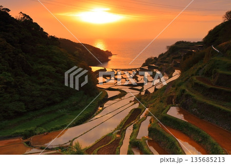 【石川県】浜野浦の棚田の夕景 135685213