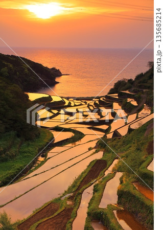 【石川県】浜野浦の棚田の夕景 135685214