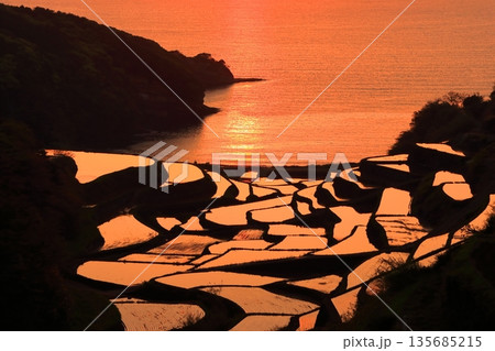 【石川県】浜野浦の棚田の夕景 135685215