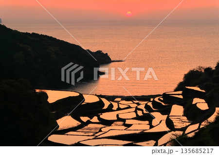 【佐賀県】浜野浦の棚田の夕景 135685217