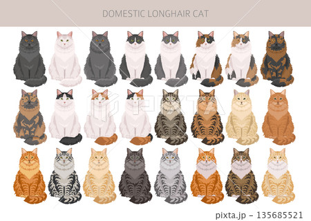 Domestic longthair Cat clipart. All coat colors set. 135685521