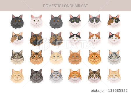 Domestic longthair Cat clipart. All coat colors set. 135685522