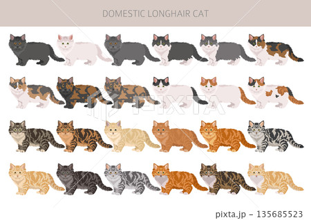 Domestic longthair Cat clipart. All coat colors set. Domestic longthair Cat clipart. All coat colors set. 135685523