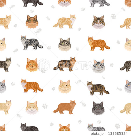 Domestic longthair Cat clipart. All coat colors set. 135685524