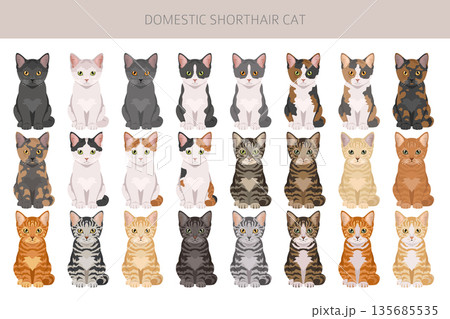 Domestic shorthair Cat clipart. All coat colors set Domestic shorthair Cat clipart. All coat colors set 135685535